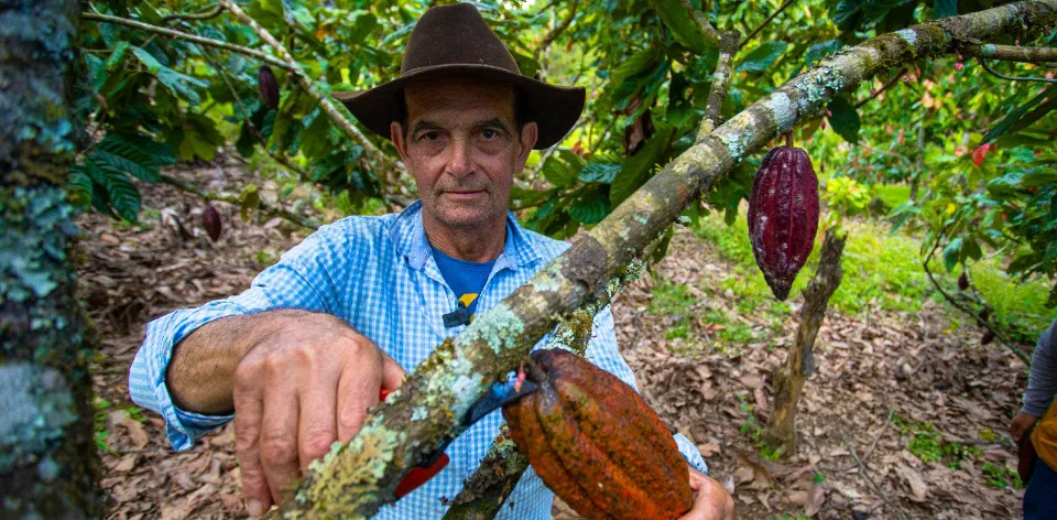 Colombia registra la mayor población ocupada para un mes de junio desde 2001 
