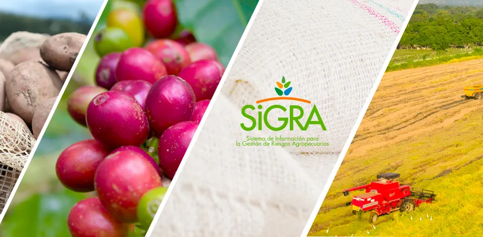 Sigra: información para anticipar los riesgos y tomar mejores decisiones en el campo