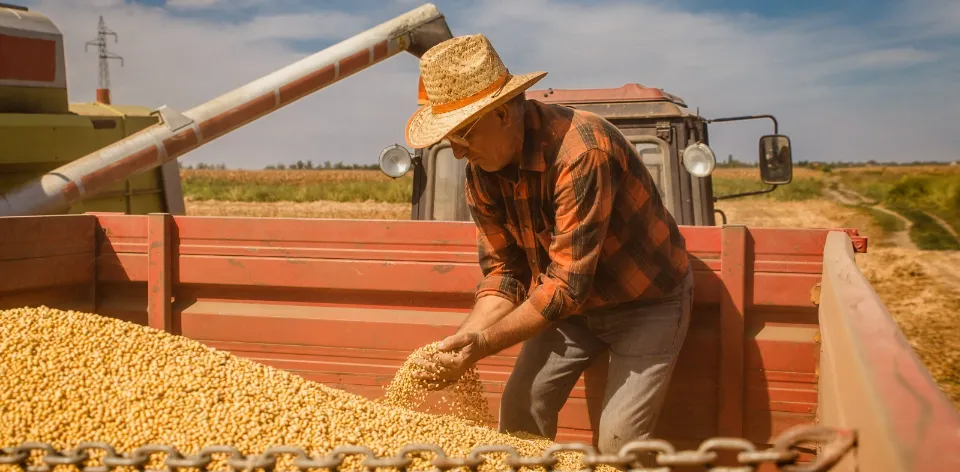 Desempleo rural llegó a su nivel más bajo, mientras la ocupación en el campo alcanzó su cifra más alta