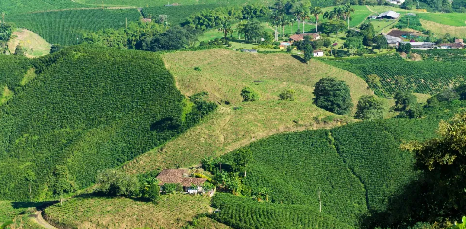 En el Día Internacional del Paisaje, Colombia avanza hacia su primer Sistema Importante del Patrimonio Agrícola Mundial en las sabanas inundables de Paz de Ariporo
