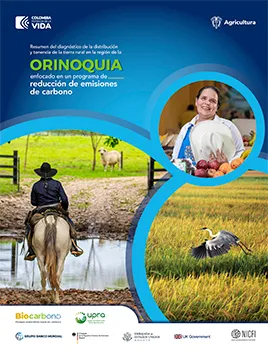 SUMMARY OF THE DIAGNOSIS OF THE DISTRIBUTION AND TENURE OF RURAL LAND IN THE ORINOQUIA REGION