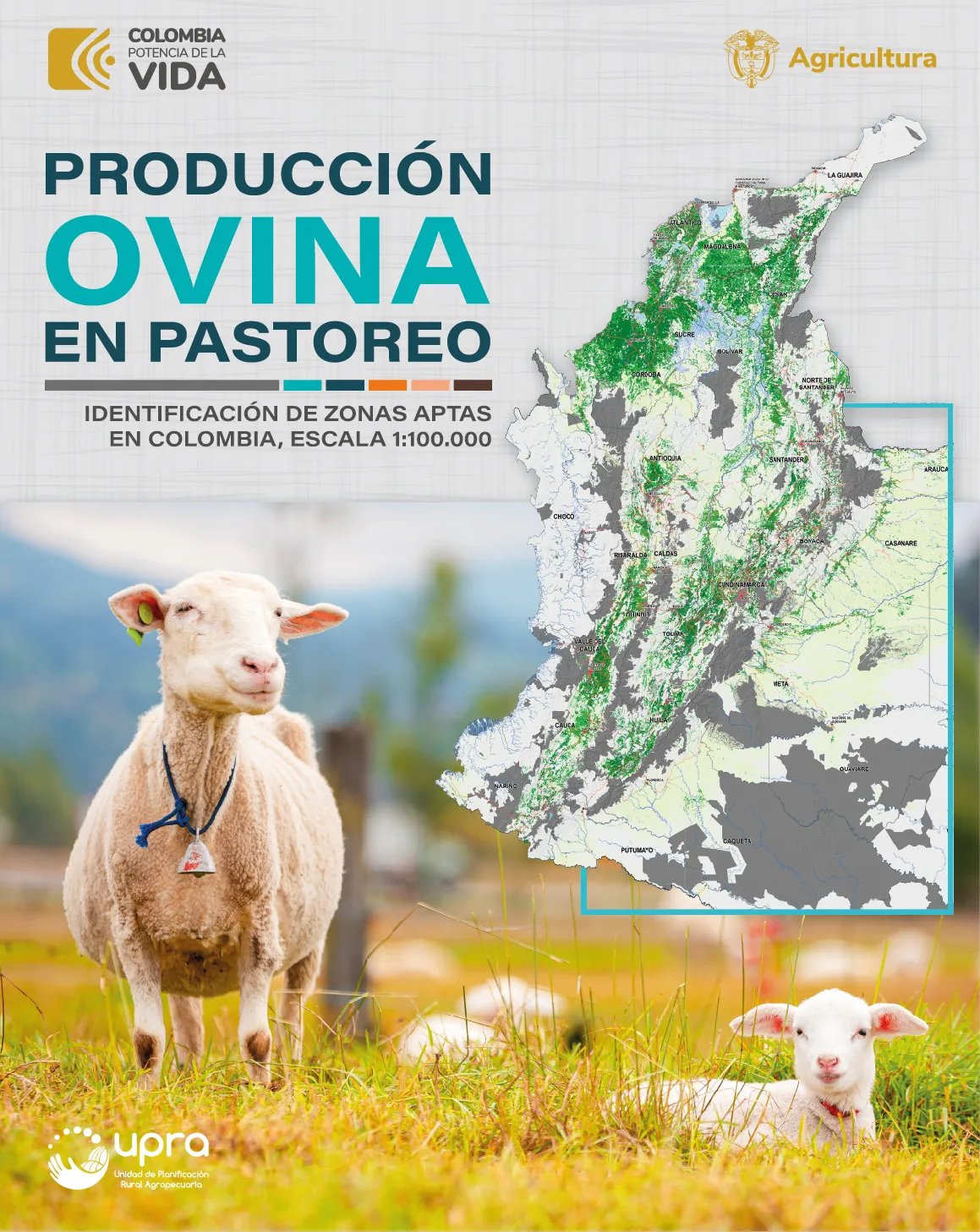 PRODUCCIÓN OVINA EN PASTOREO IDENTIFICACIÓN DE ZONAS APTAS EN COLOMBIA, ESCALA 1:100.000