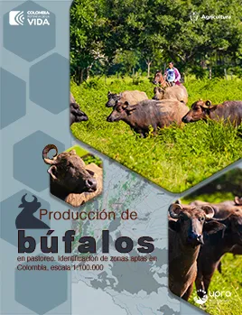 PRODUCCIÓN DE BÚFALOS EN PASTOREO. IDENTIFICACIÓN DE ZONAS APTAS EN COLOMBIA. ESCALA 1:100.000
