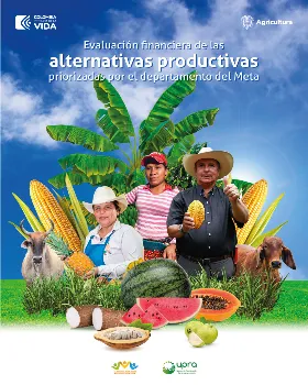 FINANCIAL EVALUATION OF THE PRODUCTIVE ALTERNATIVES PRIORITIZED BY THE DEPARTMENT OF META