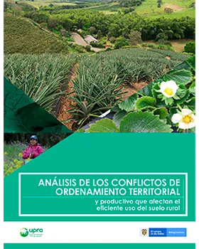 ANÁLISIS DE LOS CONFLICTOS DE ORDENAMIENTO TERRITORIAL Y PRODUCTIVO