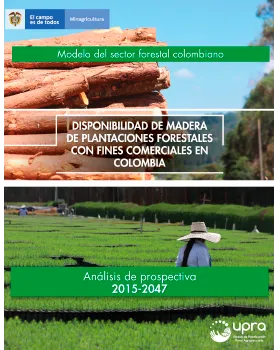 AVAILABILITY OF WOOD FROM FOREST PLANTATIONS WITH COMMERCIAL PURPOSES IN COLOMBIA