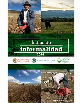 INFORMALITY INDEX