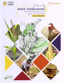 TRADITIONAL CORN CULTIVATION. IDENTIFICATION OF SUITABLE AREAS IN COLOMBIA AT A SCALE OF 1:100,000