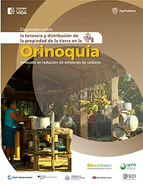 DIAGNÓSTICO SOBRE LA TENENCIA Y DISTRIBUCIÓN DE LA PROPIEDAD DE LA TIERRA EN LA ORINOQUÍA ENFOCADO EN REDUCCIÓN DE EMISIONES DE CARBONO