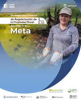 TERRITORIAL STRATEGY FOR THE MANAGEMENT OF RURAL PROPERTY REGULARIZATION (ETGRPR) IN THE DEPARTMENT OF META