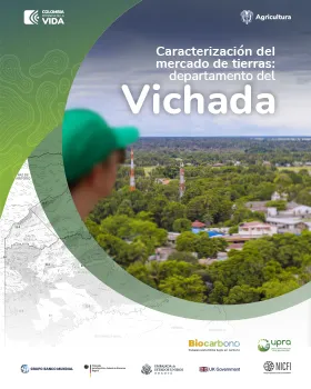 CARACTERIZACIÓN DEL MERCADO DE TIERRAS VICHADA