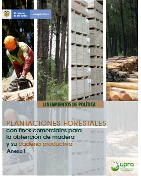 FOREST PLANTATIONS WITH COMMERCIAL PURPOSES TO OBTAIN WOOD AND ITS PRODUCTION CHAIN