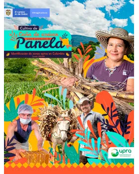 CAÑA DE AZÚCAR PANELERA IDENTIFICACIÓN DE ZONAS APTAS EN COLOMBIA A ESCALA 1:100.000