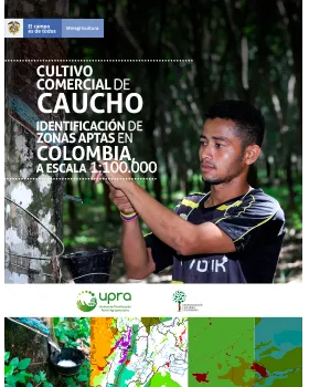 CULTIVO COMERCIAL DE CAUCHO IDENTIFICACIÓN DE ZONAS APTAS EN COLOMBIA A ESCALA 1:100.000