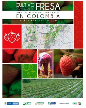 CULTIVO COMERCIAL DE FRESA IDENTIFICACIÓN DE ZONAS APTAS EN COLOMBIA ESCALA 1:100.000