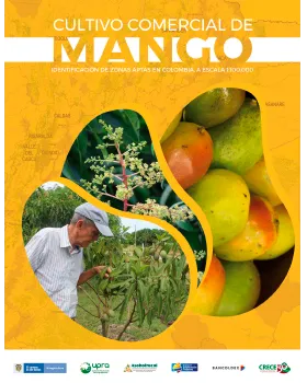 CULTIVO COMERCIAL DE MANGO IDENTIFICACIÓN DE ZONAS APTAS EN COLOMBIA ESCALA 1:100.000