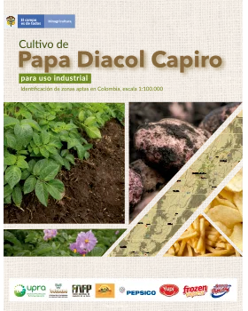 CULTIVO COMERCIAL DE PAPA DIACOL CAPIRO PARA USO INDUSTRIAL IDENTIFICACIÓN DE ZONAS APTAS EN COLOMBIA,