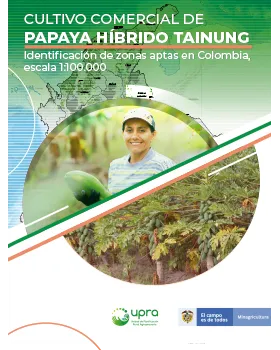 ZONING FOR SUITABILITY OF COMMERCIAL CULTIVATION OF TAINUNG HYBRID PAPAYA IN COLOMBIA AT A 1:100,000 SCALE
