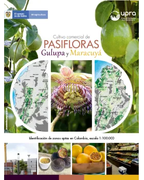 CULTIVO COMERCIAL DE PASIFLORAS: GULUPA Y MARACUYÁ
