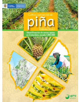 CULTIVO COMERCIAL DE PIÑA HÍBRIDO MD-2. IDENTIFICACIÓN DE ZONAS APTAS EN COLOMBIA, ESCALA 1:100.000