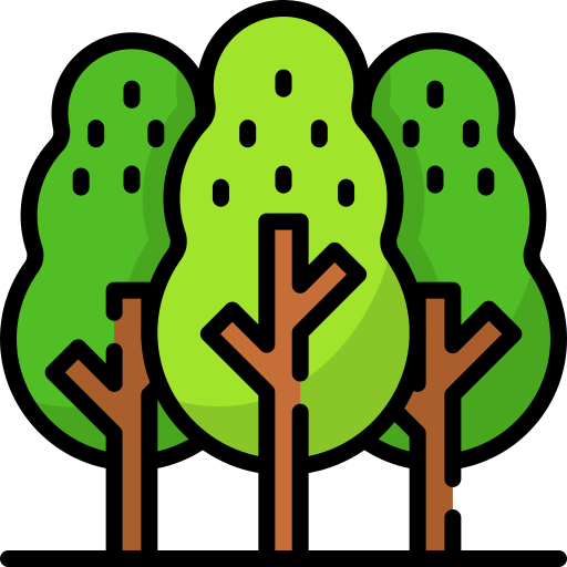 Icon Forest Chain
